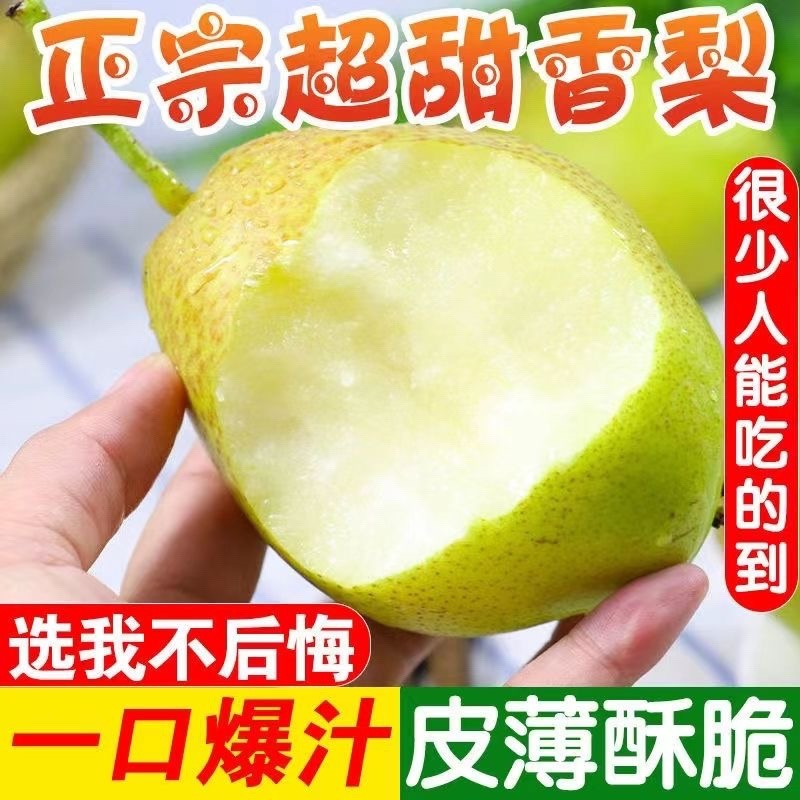 山西运城龙居美玉一抹红晕果库红香酥梨现货供应
