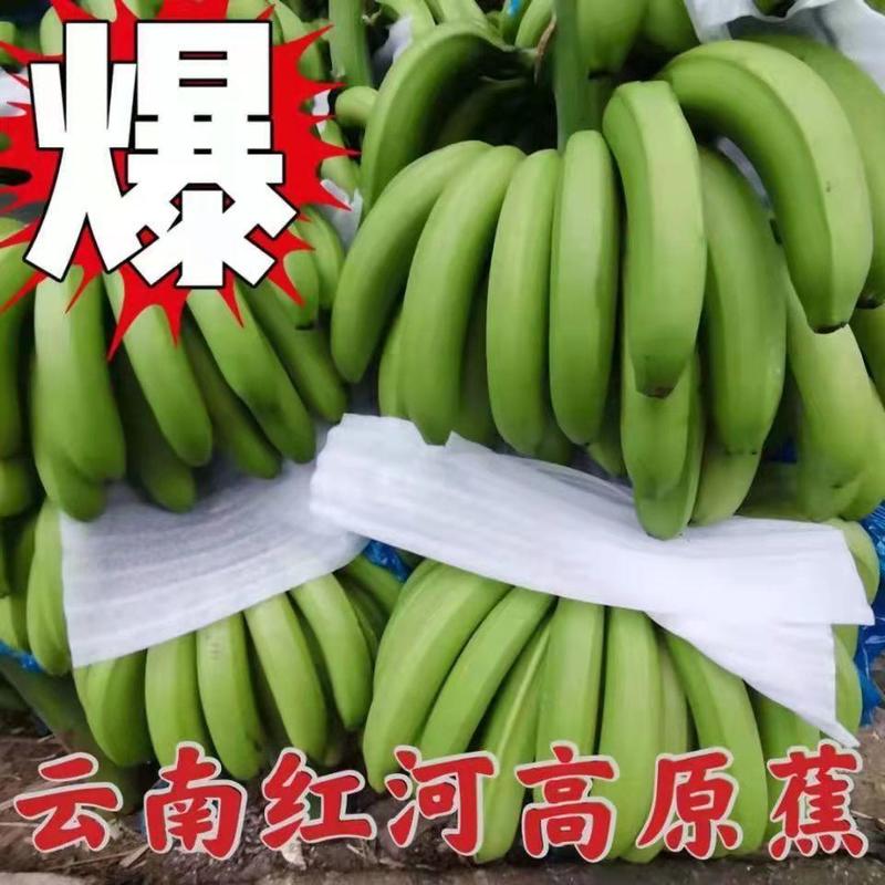 【实力推荐】云南正宗红河高山甜香蕉量大从优一手货源
