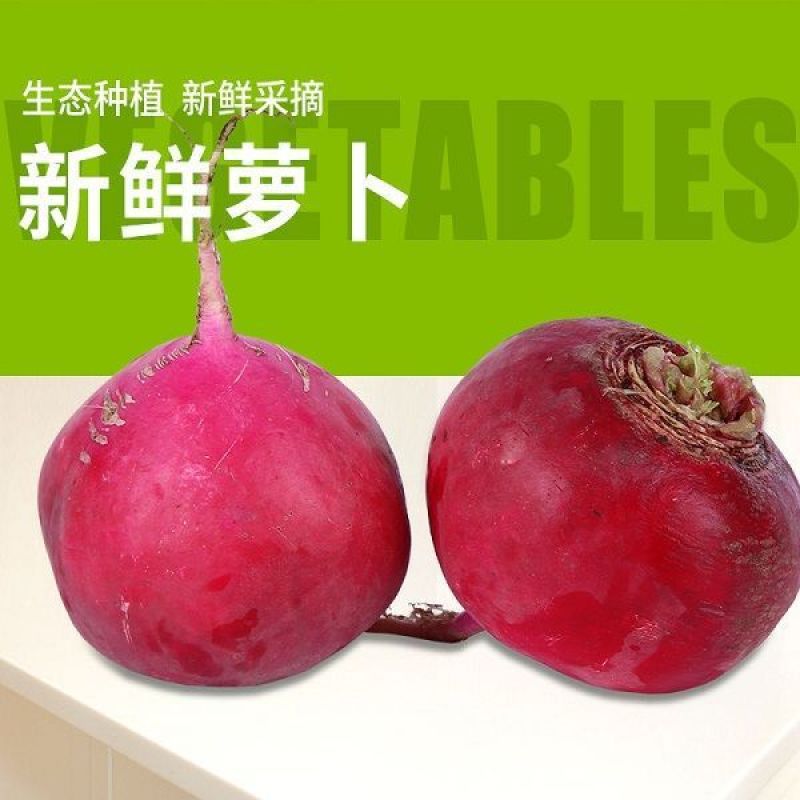 【产地发货】精品红萝卜大量上市个头均圆颜色红
