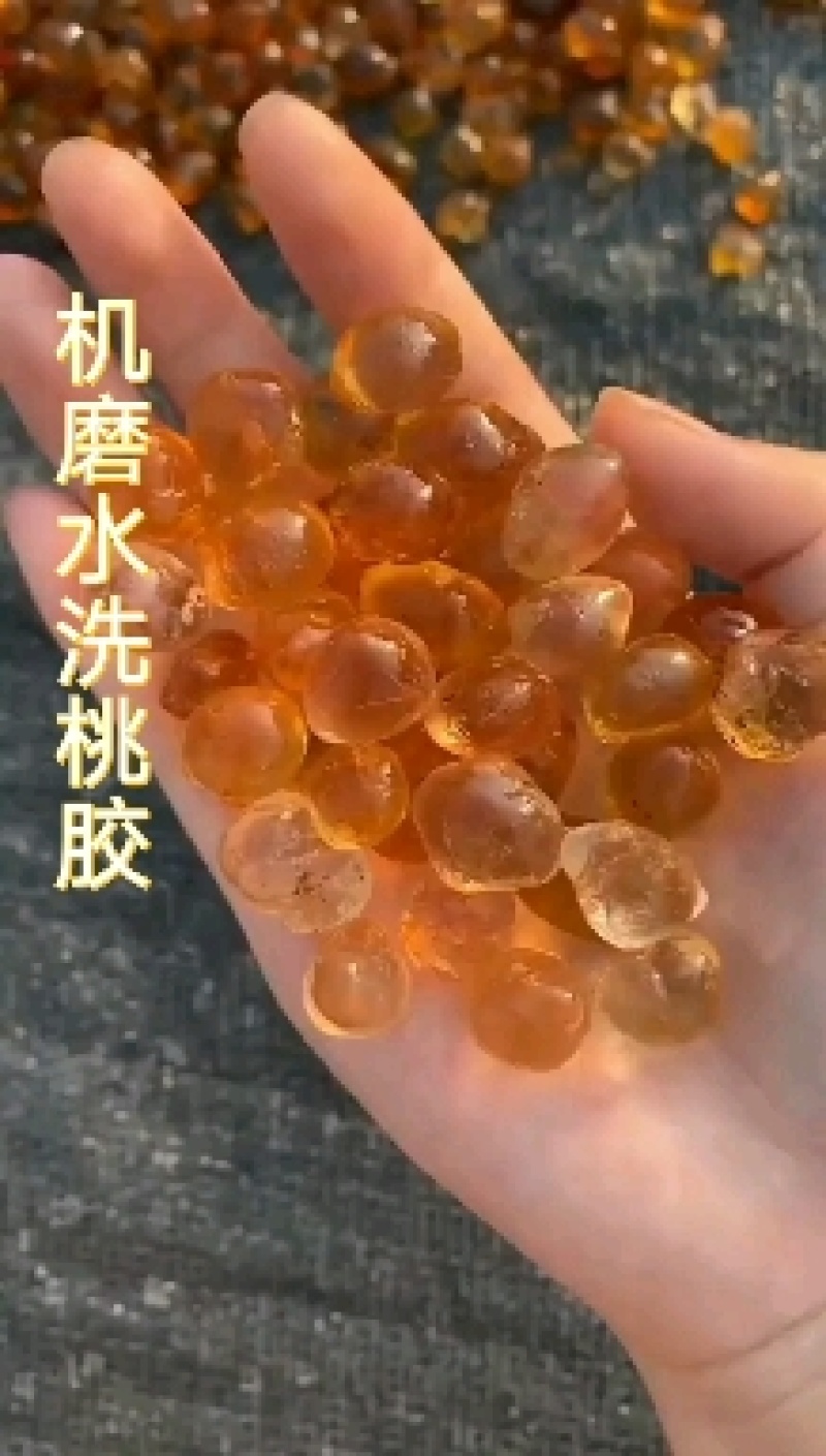 桃胶自家基地自有工厂机磨水洗黄红大中小圆珠桃胶大量批发