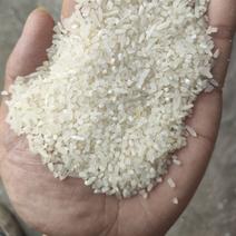 大量批发米糠色选米碎米