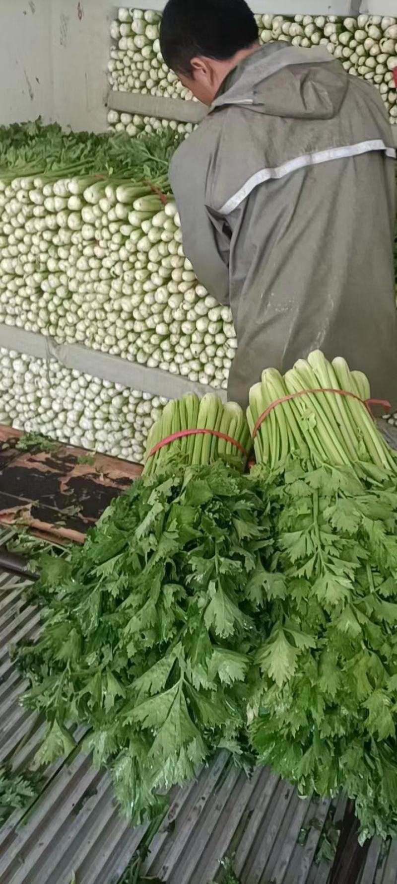 精品西芹
