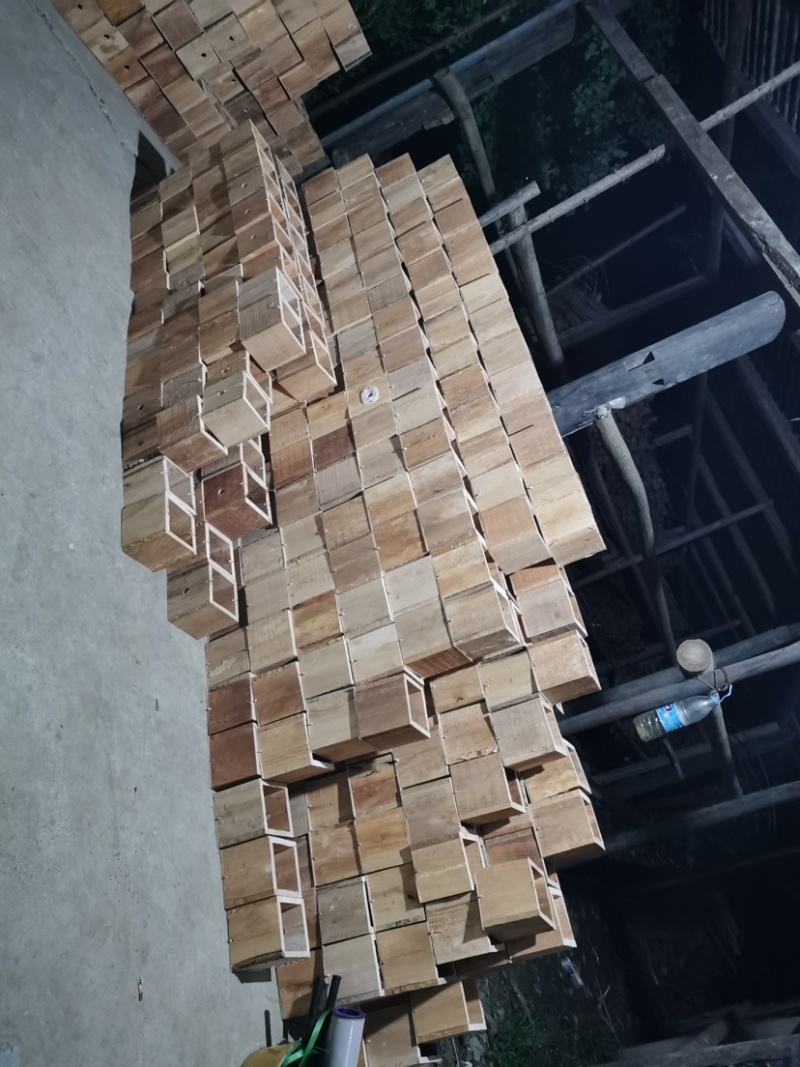 胡蜂养殖筑巢箱