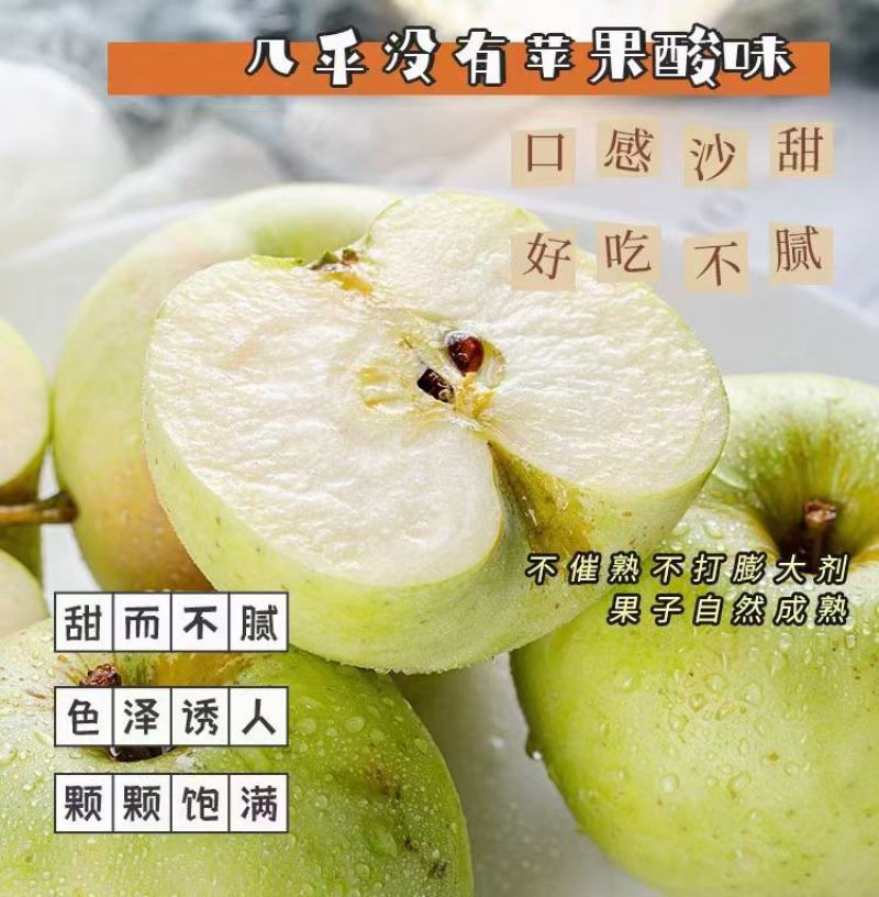 王林苹果水蜜桃绿色苹果脆甜一件代发电商团购抖音直播快团团