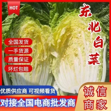 吉林白城黄心菜大量接单货源充足4一5一6斤随时接单