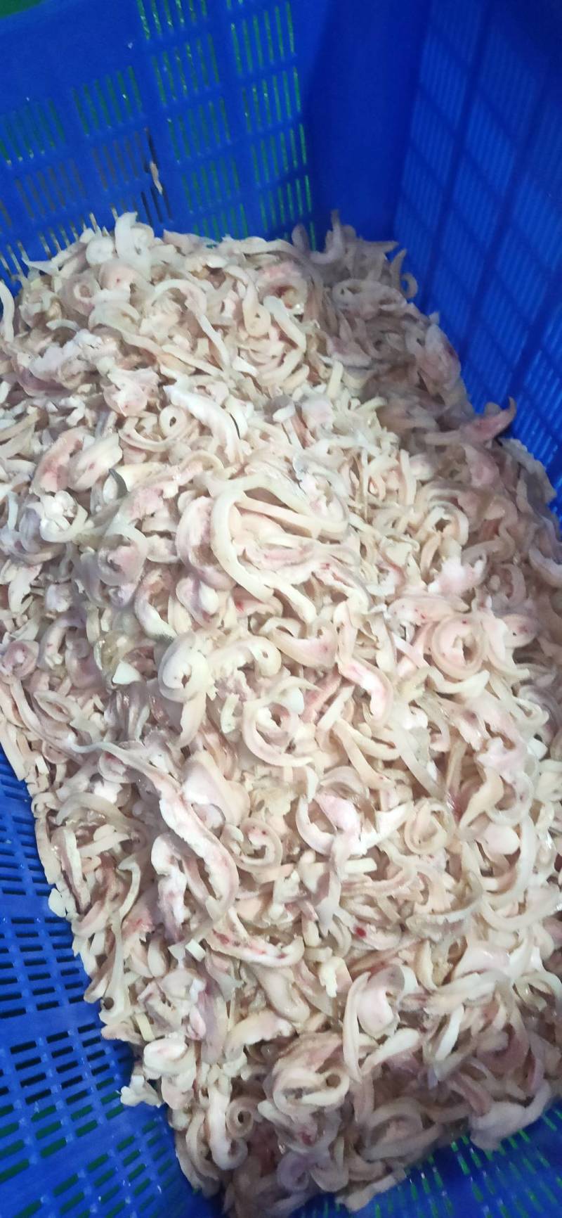 【推荐】羊杂各种规格和品种都有价格优惠欢迎电话联系