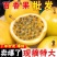 黄金百香果现摘现发新鲜孕妇水果西番莲鸡蛋果1/2/3/