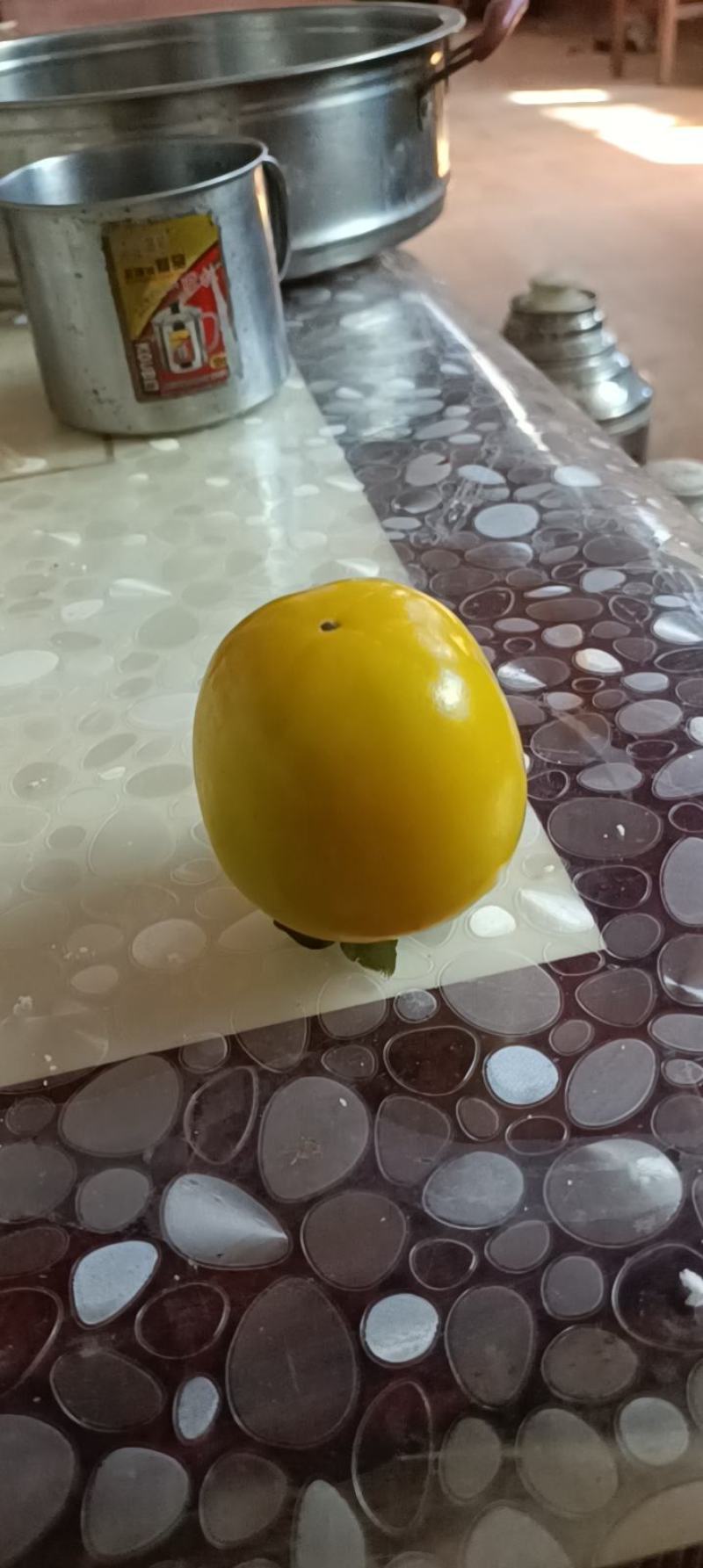 大红袍柿子大量上市中