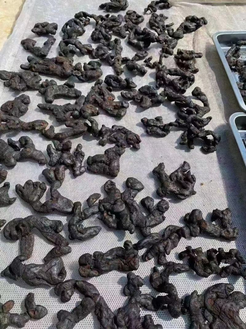 野生黄精九蒸九晒软黄精个大肉足软糯香甜一斤起发