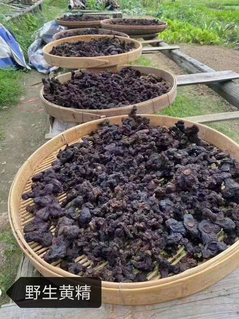 野生黄精九蒸九晒软黄精个大肉足软糯香甜一斤起发