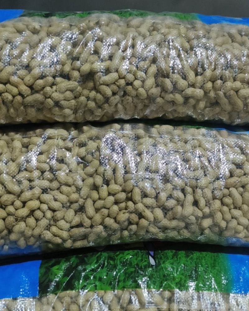 辽宁花生白果分级果，油料米，油料果