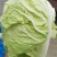 白菜夏阳白菜，原产地发货，量大从优，欢迎各位老板前来