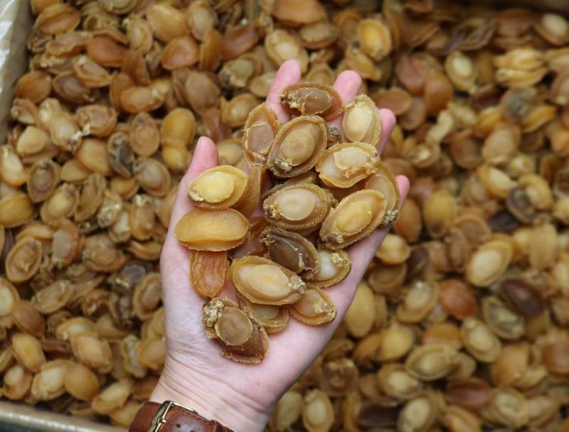 C厂180头大连鲍鱼干特价货颜色一般性价比高口感弹牙紧实