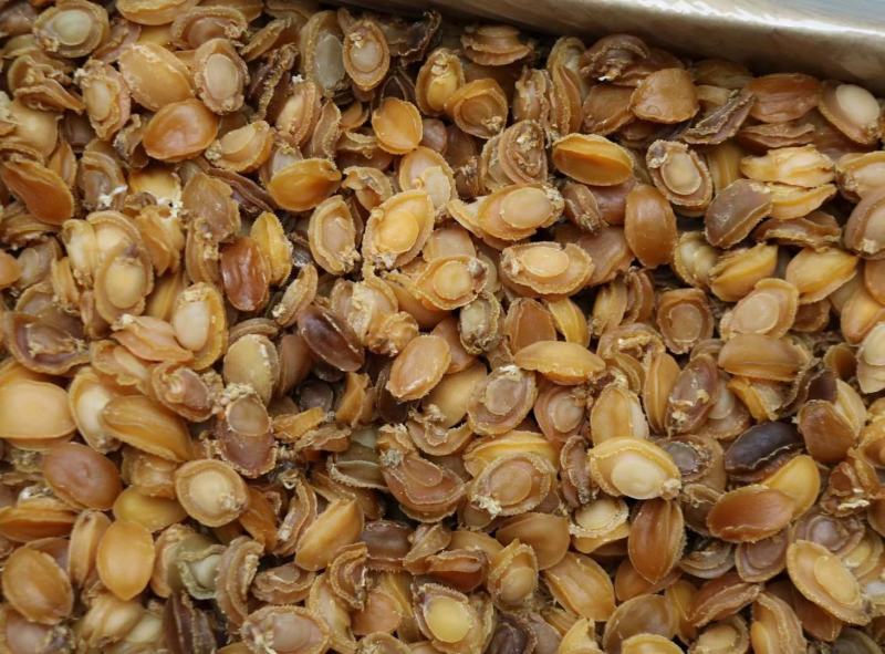 C厂180头大连鲍鱼干特价货颜色一般性价比高口感弹牙紧实