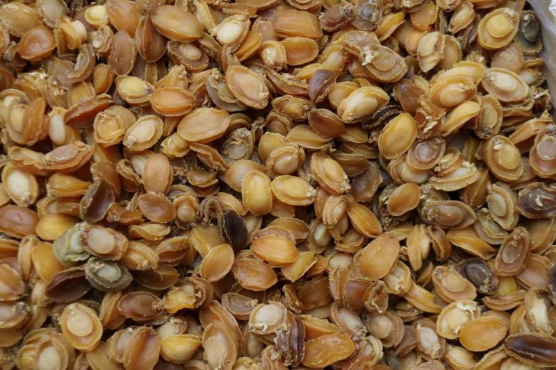 C厂180头大连鲍鱼干特价货颜色一般性价比高口感弹牙紧实