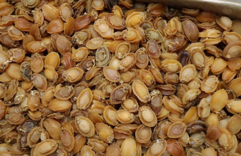 C厂180头大连鲍鱼干特价货颜色一般性价比高口感弹牙紧实