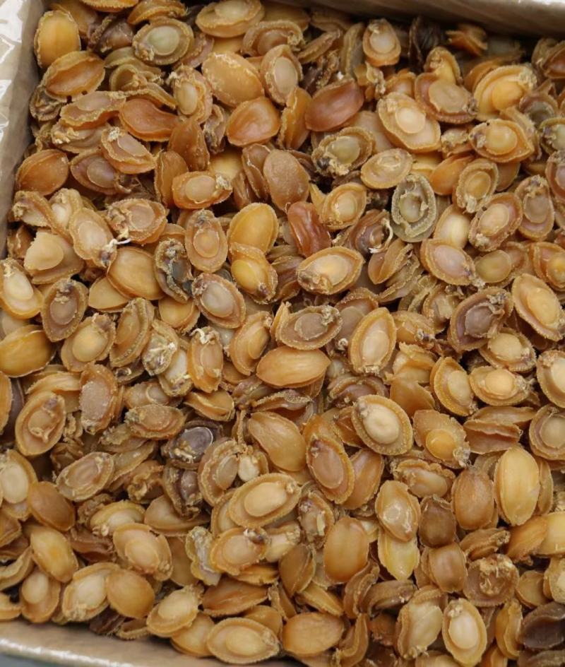 C厂180头大连鲍鱼干特价货颜色一般性价比高口感弹牙紧实