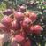 【推荐】大五棱山楂八月红七月红甜红籽歪把红打浆