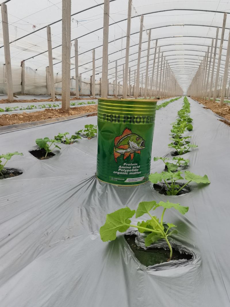 土昇康酶解鱼蛋白含日本进口鱼蛋白原料生根壮苗膨果增产