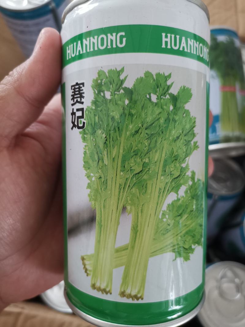 【优质】四季小香芹菜种子香味浓口感好品质好
