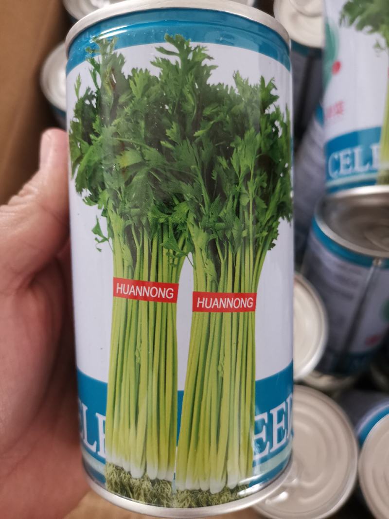 【优质】四季小香芹菜种子香味浓口感好品质好