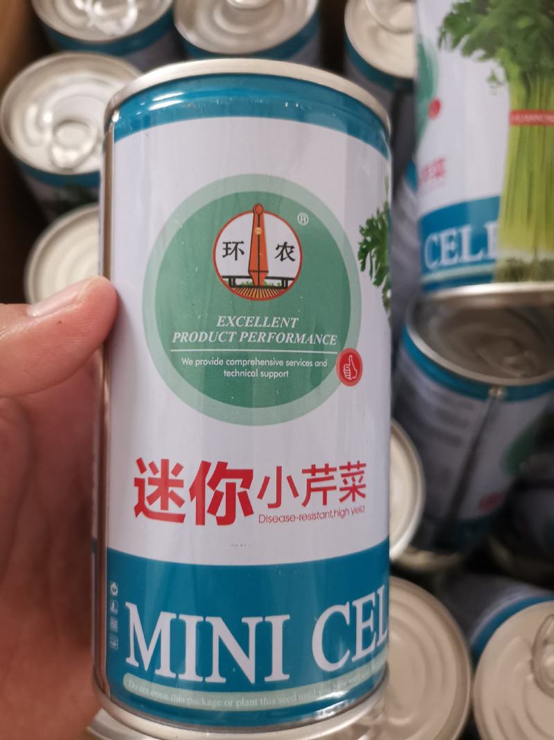 【优质】四季小香芹菜种子香味浓口感好品质好