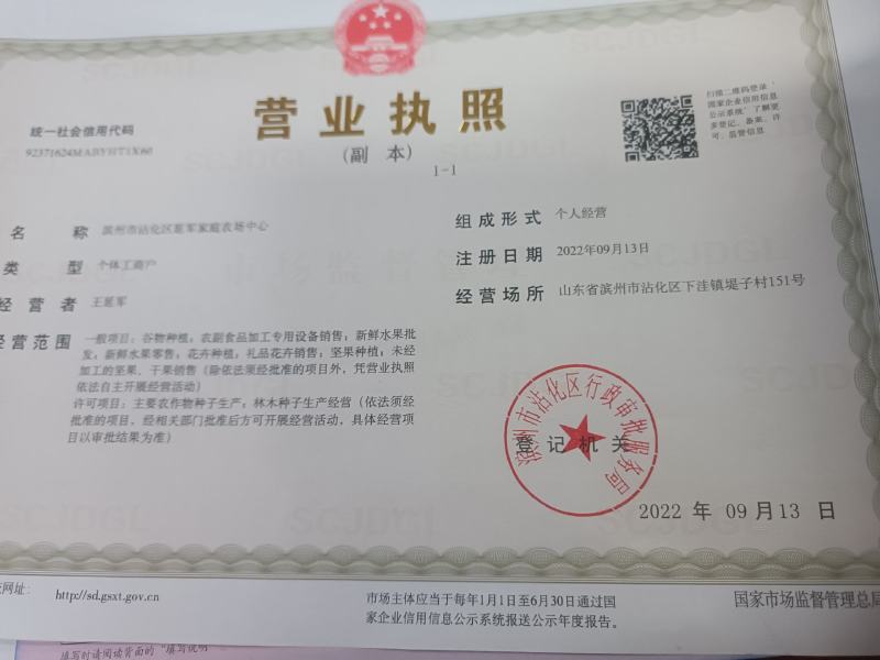 沾化冬枣脆甜枣