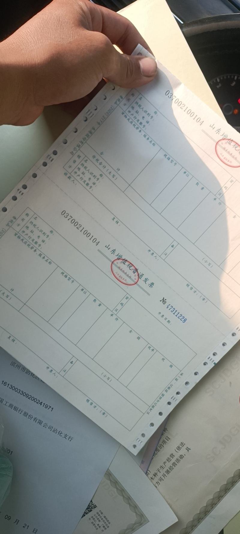 沾化冬枣脆甜枣