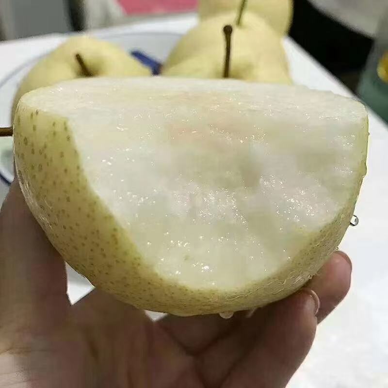壶口瀑布，代收，脆甜可口