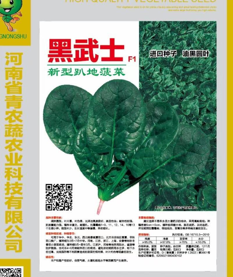 菠菜种子大黑圆叶耐寒菠菜种子抗病性强
