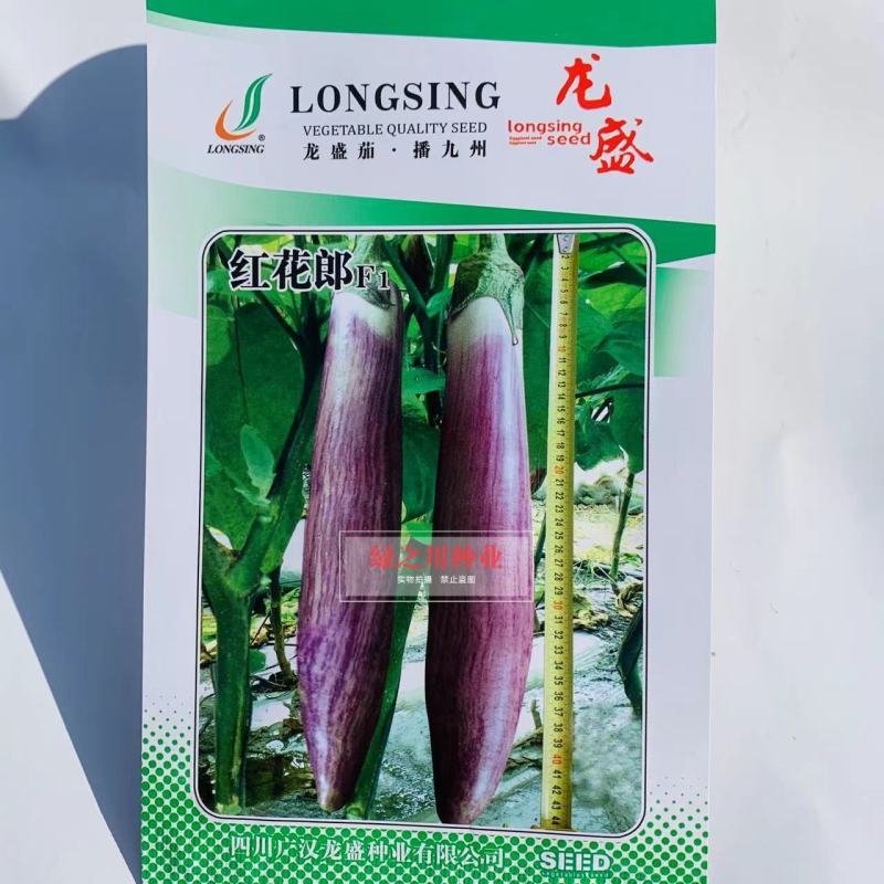 龙盛红花郎茄子种子早熟高产茄子果面浅绿色带紫红色细条纹