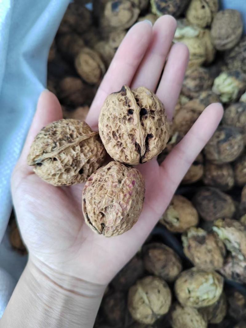 云南麻子核桃全是大果价格美丽