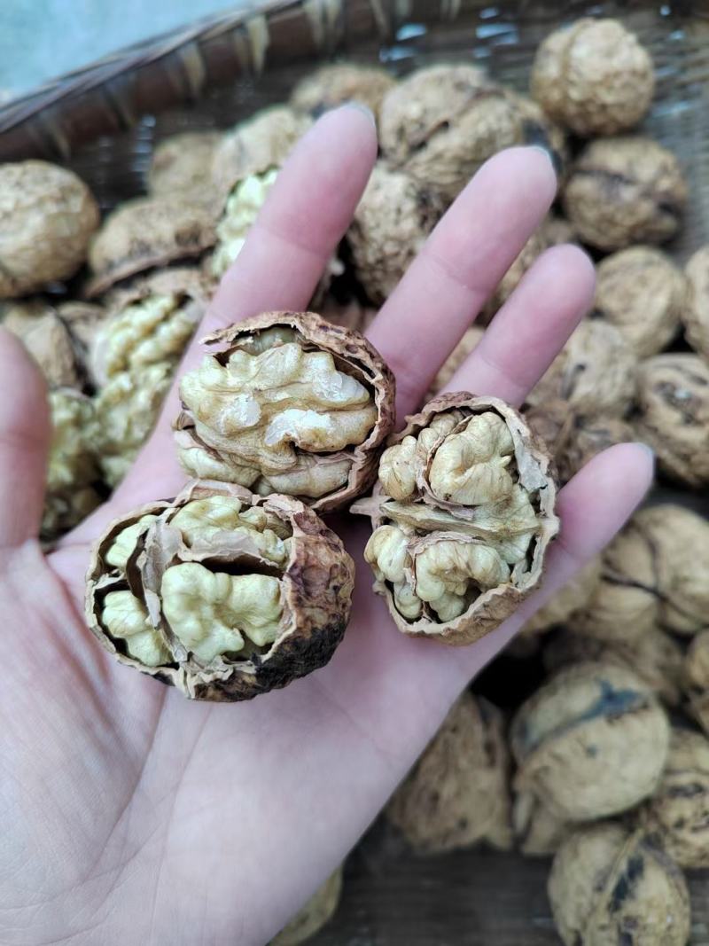 云南麻子核桃全是大果价格美丽