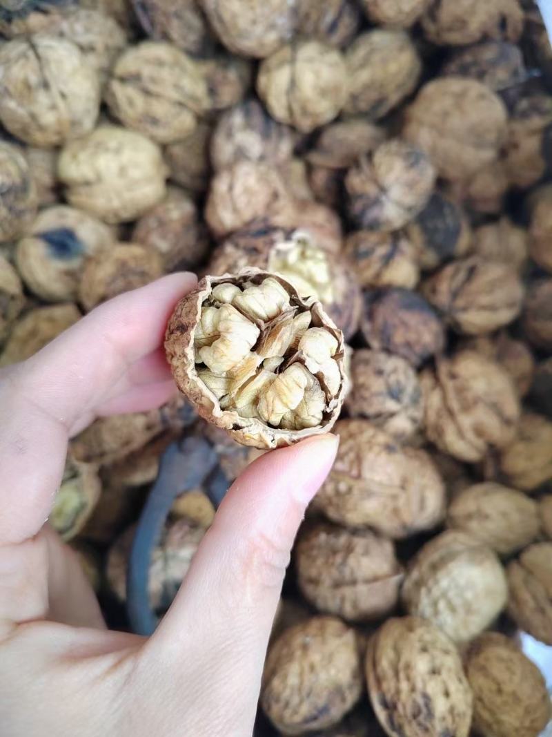 云南麻子核桃全是大果价格美丽