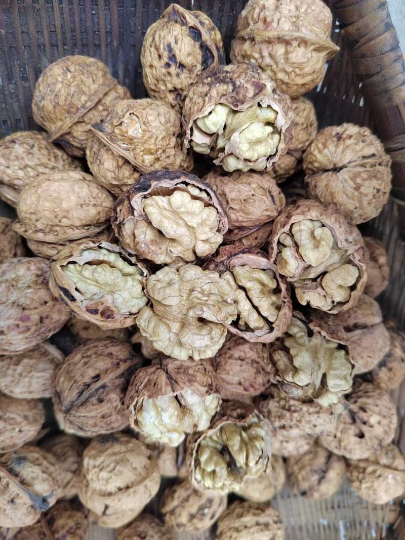 云南麻子核桃全是大果价格美丽