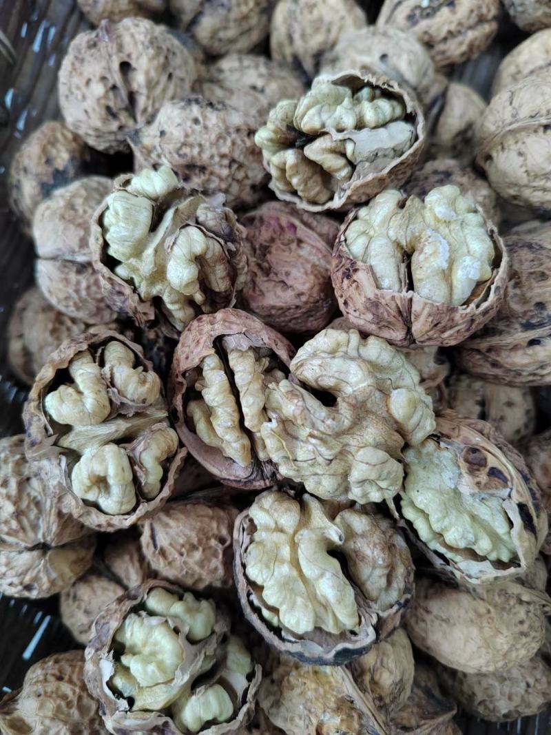 云南麻子核桃全是大果价格美丽