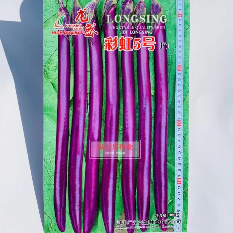 龙盛彩虹5号早熟杂交一代深紫红线茄种子油亮型长线茄种籽