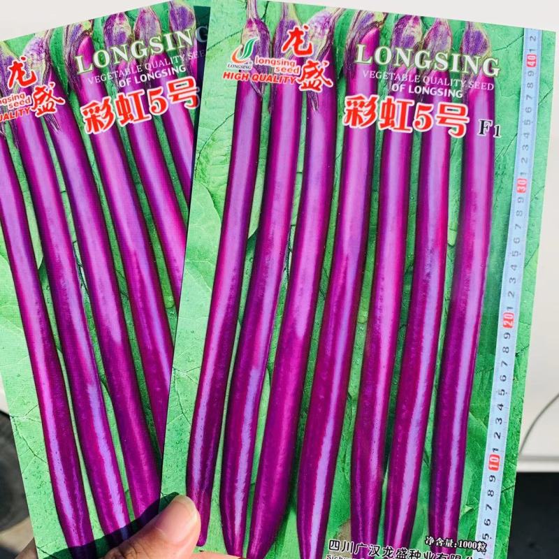 龙盛彩虹5号早熟杂交一代深紫红线茄种子油亮型长线茄种籽
