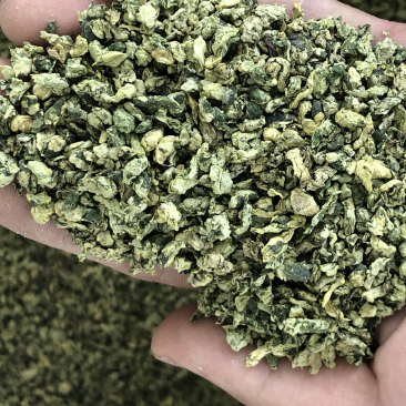 荷叶茶微山湖颗粒荷叶茶2023新荷叶厂家批发