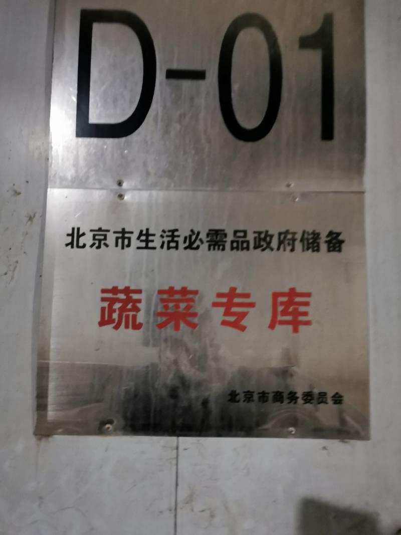 雪川红土豆种子，红皮黄心，抗病毒，好管理