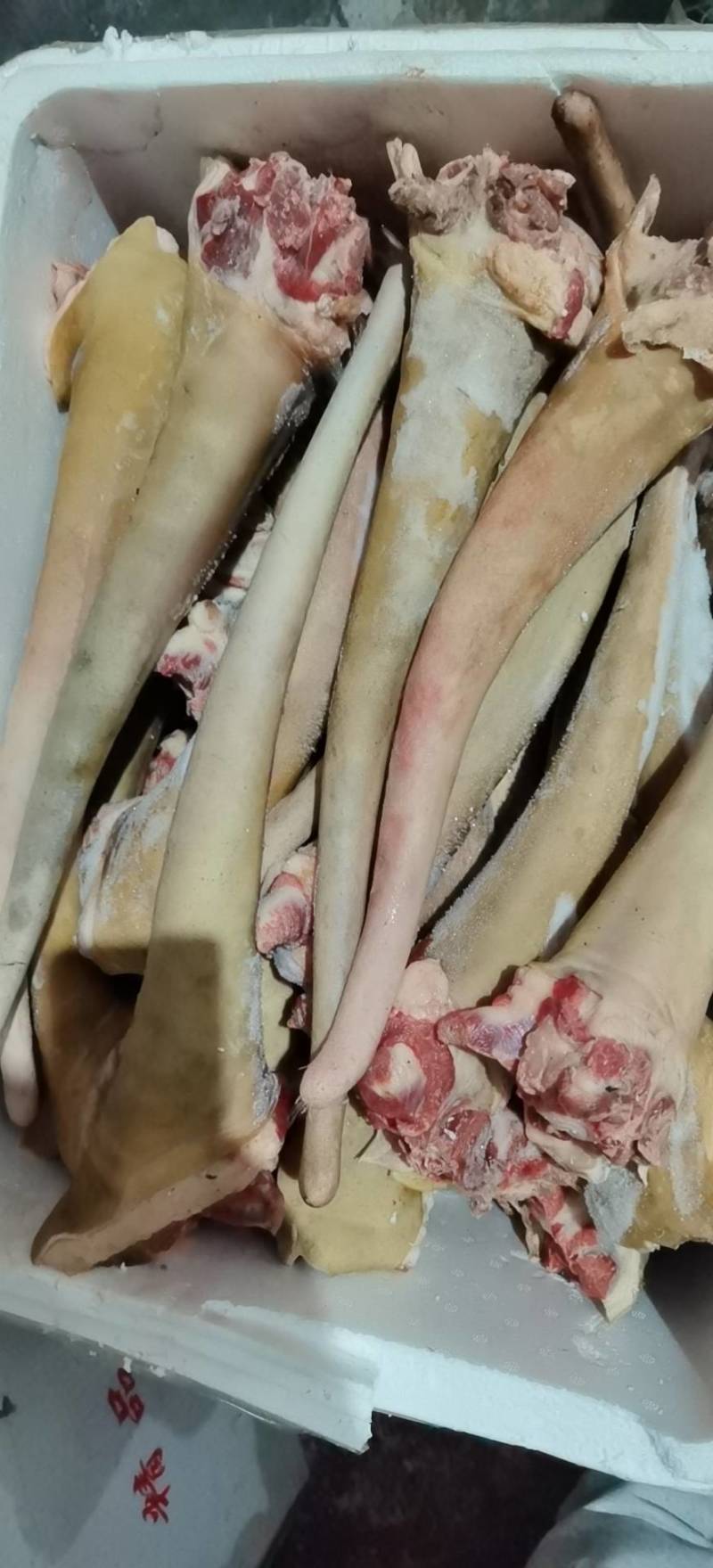 【驴尾巴】新鲜驴尾巴质量好颜色新鲜出肉率高