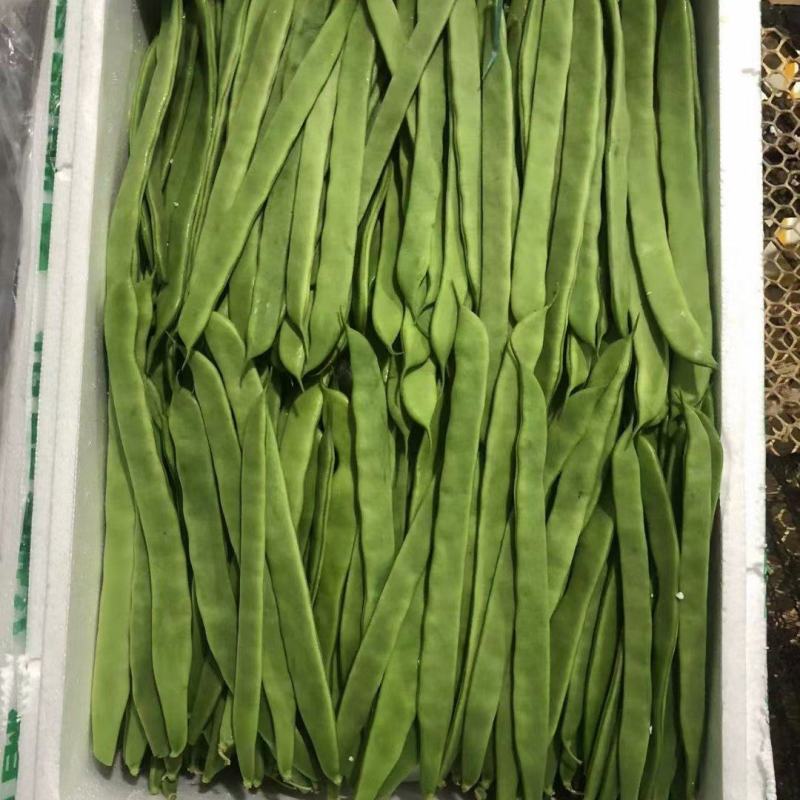 小金豆