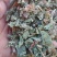 薄荷头茬新货颜色青叶多味道很大量大从优