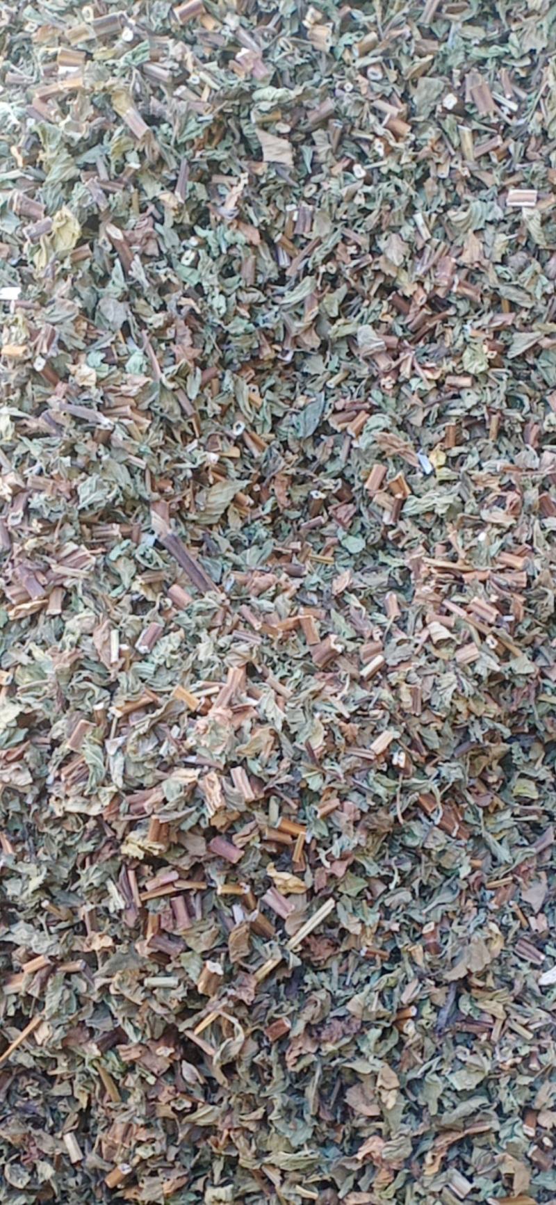 薄荷头茬新货颜色青叶多味道很大量大从优