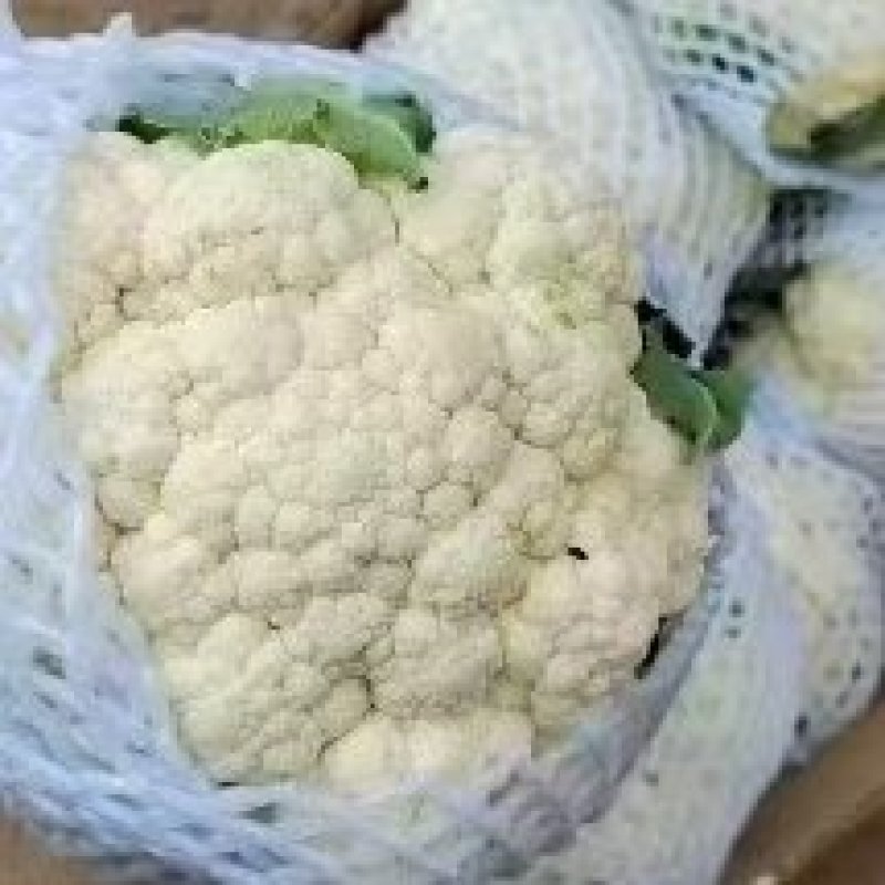 河北邯郸永年数千万亩有机花菜，实花菜，代发全国各地，