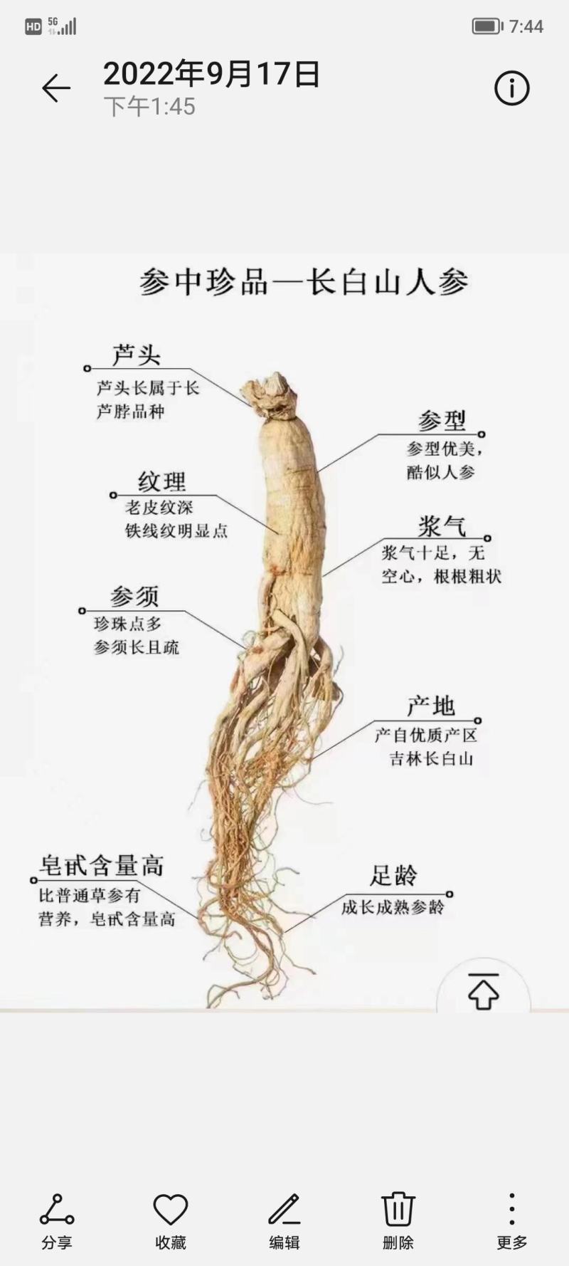 东北特产