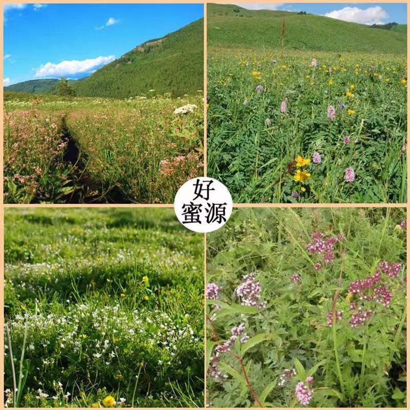 百花巢蜜好蜂蜜产地供货保质保量包邮到家