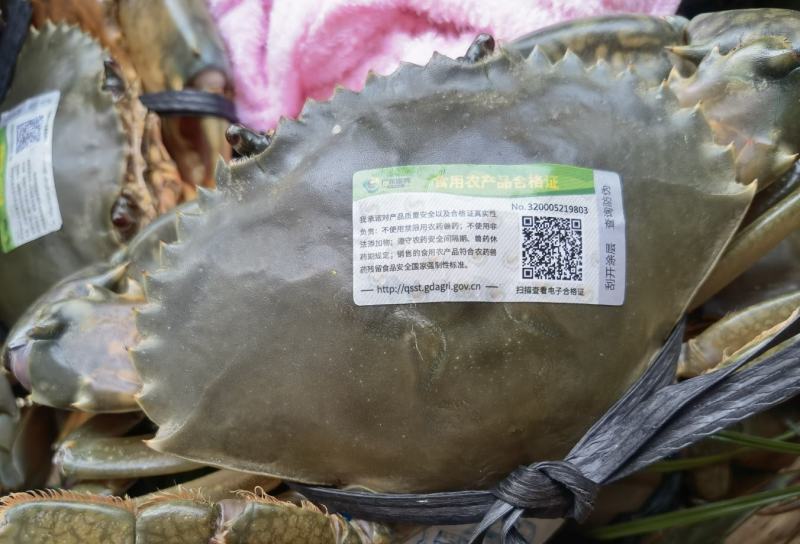 一田·南水青蟹礼盒