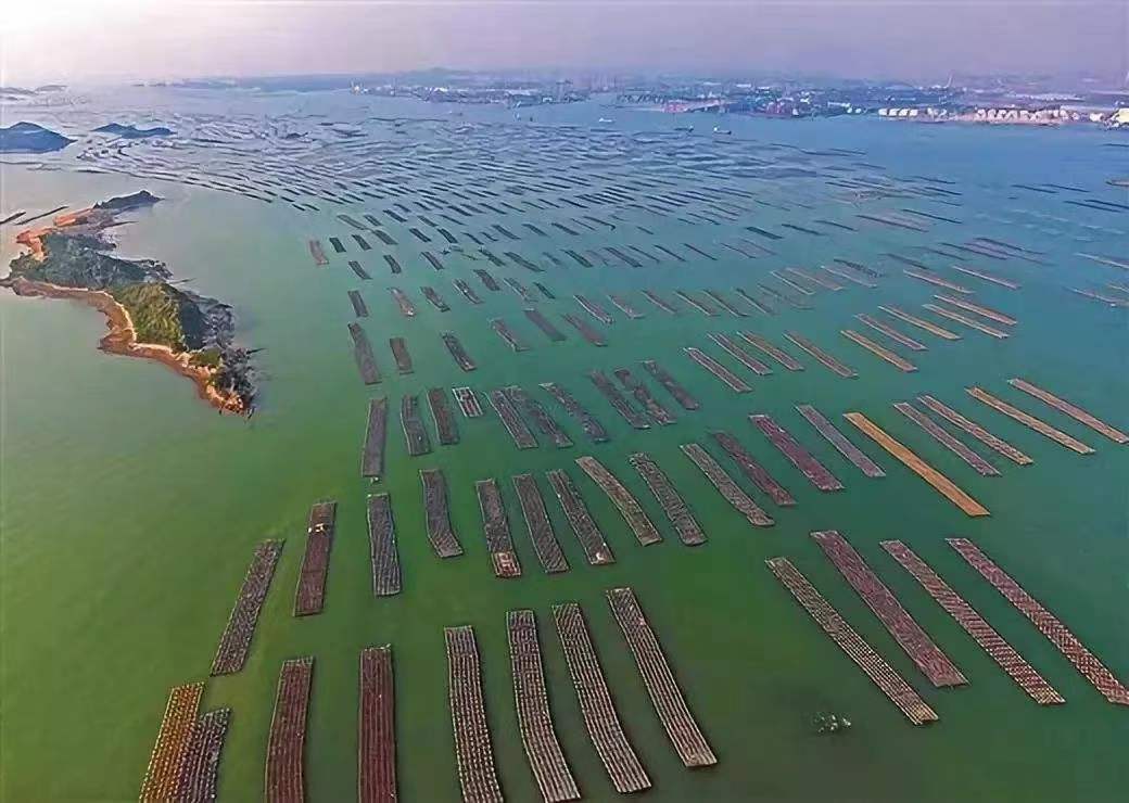 惠东铁涌镇赤岸村生蚝养殖基地航拍图