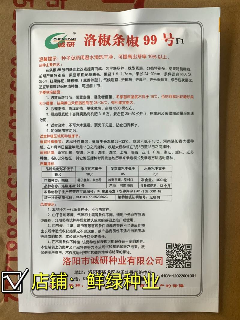 洛椒条椒99号：早熟线椒品种、香辣型结果稠密、光滑顺直